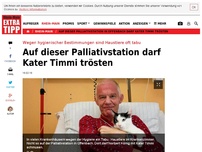 Bild zum Artikel: Auf dieser Palliativstation darf Kater Timmi trösten