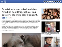 Bild zum Artikel: Er setzt sich zum misshandelten Pitbull in den Käfig. Schau, was passiert, als er zu essen beginnt.