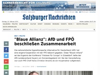 Bild zum Artikel: 'Blaue Allianz': AfD und FPÖ beschließen Zusammenarbeit
