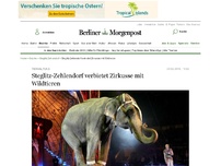 Bild zum Artikel: Tierhaltung: Steglitz-Zehlendorf verbietet Zirkusse mit Wildtieren