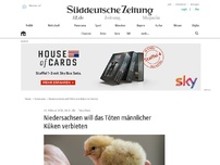 Bild zum Artikel: Niedersachsen will das Töten männlicher Küken verbieten