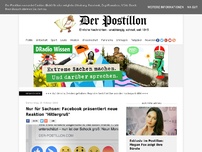 Bild zum Artikel: Nur für Sachsen: Facebook präsentiert neue Reaktion 'Hitlergruß'
