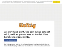 Bild zum Artikel: Als der Hund sieht, wie sein Junge betäubt wird, weiß er genau, was zu tun ist. Eine berührende...