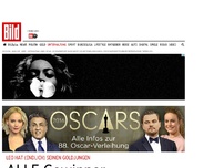 Bild zum Artikel: Gewinner der Oscar-Nacht - Leo hat (endlich) seinen Goldjungen