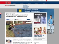 Bild zum Artikel: Mittellandkanal in Bramsche - Tierischer Einsatz: Feuerwehr rettet ertrinkendes Reh aus kaltem Kanal