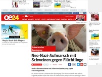 Bild zum Artikel: Neo-Nazi-Aufmarsch mit Schweinen gegen Flüchtlinge