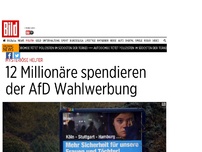 Bild zum Artikel: Mysteriöse Helfer - 12 Millionäre spendieren der AfD Wahlwerbung