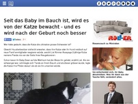 Bild zum Artikel: Seit das Baby im Bauch ist, wird es von der Katze bewacht - und es wird nach der Geburt noch besser