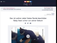 Bild zum Artikel: Das ist wahre Liebe! Katze Panda beschütze Baby Sean schon vor seiner Geburt