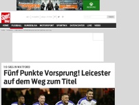 Bild zum Artikel: Wölfe-Fans blamieren sich mit Anti-Braunschweig-Banner