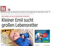 Bild zum Artikel: Nach drei Chemos - Kleiner Emil sucht großen Lebensretter