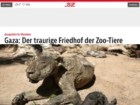 Bild zum Artikel: Gaza: Der traurige Friedhof der Zoo-Tiere