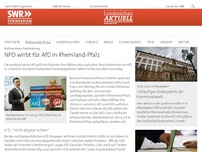 Bild zum Artikel: Rechtsextreme Parteiführung: NPD wirbt für AfD in Rheinland-Pfalz