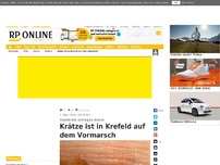 Bild zum Artikel: Hautärzte schlagen Alarm - Krätze ist in Krefeld auf dem Vormarsch