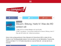 Bild zum Artikel: Steuern, Bildung, Hartz IV: Was die AfD wirklich will