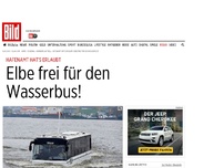 Bild zum Artikel: Hafenamt hat's erlaubt - Elbe frei für den Wasserbus!