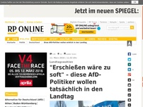 Bild zum Artikel: Landtagswahlen - 'Erschießen wäre zu soft' – diese AfD-Politiker wollen tatsächlich in den Landtag