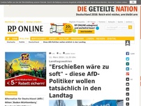 Bild zum Artikel: Landtagswahlen - 'Erschießen wäre zu soft' – diese AfD-Politiker wollen tatsächlich in den Landtag