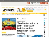 Bild zum Artikel: Landtagswahlen - 'Erschießen wäre zu soft' – diese AfD-Politiker wollen tatsächlich in den Landtag