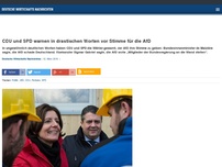 Bild zum Artikel: CDU und SPD warnen in drastischen Worten vor Stimme für die AfD