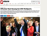 Bild zum Artikel: Rheinland-Pfalz: Offenbar Nazi-Gesang auf AfD-Wahlparty