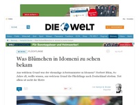 Bild zum Artikel: Flüchtlinge: Was Blümchen in Idomeni zu sehen bekam