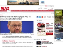 Bild zum Artikel: Schulz fordert Härte gegen AfD in deutschen Parlamenten