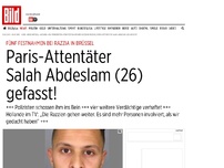 Bild zum Artikel: In Brüsseler Wohnung - Fingerabdrücke von Terrorhelfer gefunden