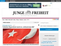 Bild zum Artikel: Türkischer Abgeordneter warnt vor „rechtsextremer AfD“