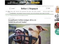Bild zum Artikel: Berlin-Statistik: Kampfhunde beißen weniger oft zu als Schäferhund und Dackel