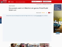 Bild zum Artikel: Video-Klassiker - Das passiert, wenn ein Mädchen ein ganzes Pitbull-Rudel füttern soll