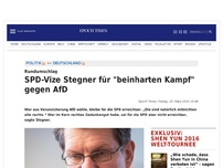 Bild zum Artikel: SPD-Vize Stegner für 'beinharten Kampf' gegen AfD