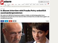 Bild zum Artikel: AfD-Chefin: In diesem Interview wird Frauke Petry ordentlich auseinandergenommen