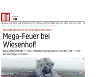 Bild zum Artikel: Schlachthof in Lohne - Mega-Feuer bei Wiesenhof!