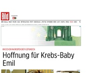 Bild zum Artikel: Spender gefunden - Hoffnung für Krebs-Baby Emil