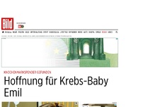 Bild zum Artikel: Spender gefunden - Hoffnung für Krebs-Baby Emil