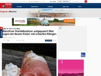 Bild zum Artikel: Gefahr für Tiere in Sendling - Münchner Hundebesitzer aufgepasst! Hier liegen die fiesen Köder mit scharfen Klingen