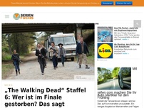 Bild zum Artikel: „The Walking Dead“ Staffel 6: Wer ist im Finale gestorben? Das sagt Chandler Riggs dazu