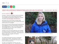 Bild zum Artikel: 2000 Euro Kopfgeld! Tierschützer jagen den Welpen-Mörder