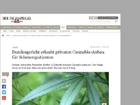 Bild zum Artikel: Bundesgericht erlaubt privaten Cannabis-Anbau für Schmerzpatienten