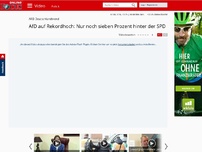 Bild zum Artikel: ARD-Deutschlandtrend - AfD auf Rekordhoch: Nur noch sieben Prozent hinter der SPD