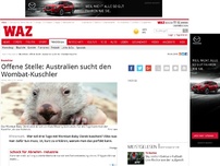 Bild zum Artikel: Offene Stelle: Australien sucht den Wombat-Kuschler