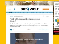 Bild zum Artikel: Hans-Georg Maaßen: 'AfD ist keine rechtsextremistische Partei'
