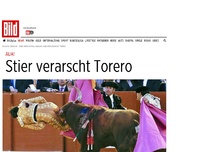 Bild zum Artikel: Aua! - 533-Kilo-Stier verarscht Torero