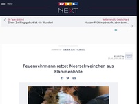 Bild zum Artikel: Feuerwehrmann rettet Meerschweinchen aus Flammenhölle