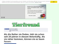 Bild zum Artikel: Als die Retter sie finden, lebt sie schon seit 20 Jahren in diesem Betonkäfig. Als sie näher...