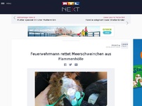 Bild zum Artikel: Feuerwehrmann rettet Meerschweinchen aus Flammenhölle und beatmet es