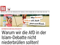 Bild zum Artikel: Kommentar: Islam-Debatte - ‎Warum wir die AfD nicht niederbrüllen sollten!