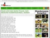 Bild zum Artikel: Heute wird mein bester Freund, mein Deutscher Schäferhund Hans, sterben!
