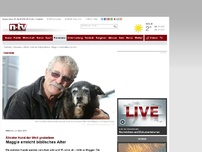 Bild zum Artikel: Ältester Hund der Welt gestorben: Maggie erreicht biblisches Alter
